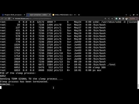 Shell Processes and Signal for Beginners | 100% checked.