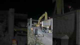 Nature documentary on excavators! 😲