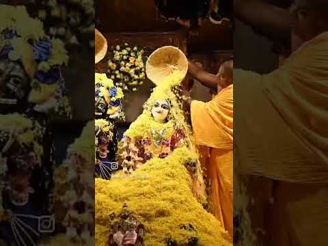 #raderadhe #harekrishna #hareramaharekrishna #iskcontemple #iskon
