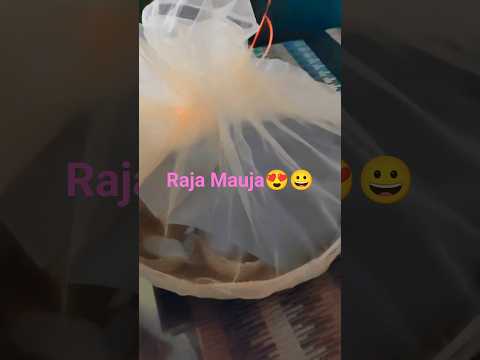 #rajacelebration #rajadoli #rajapitha #rajapaana