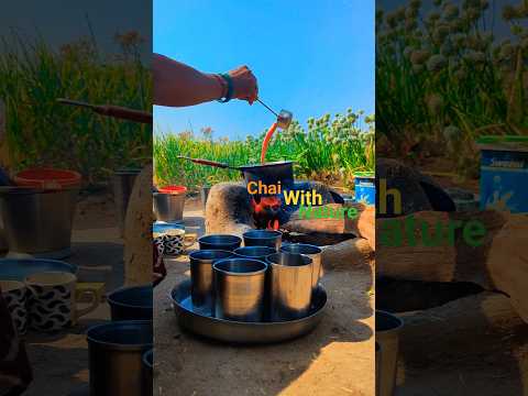 Chai with Nature in Village style 🍵#chai #tea #minivlog #villagevlog #vlog #youtubeshorts #shorts