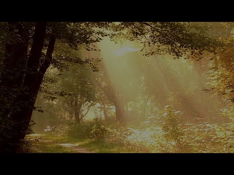 15 Minute Sleep Meditation for Kids - Fall Asleep Faster With Soft Piano Music