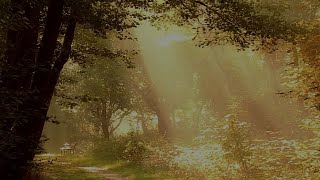15 Minute Sleep Meditation for Kids - Fall Asleep Faster With Soft Piano Music