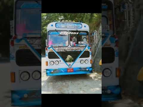 දකුණේ නිල් පාට චාම් සෙන්සර්  😘💙 @LNRBUSKINGDOM-dl9ql