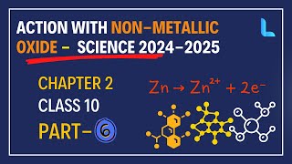Action with NON-METALLIC OXIDE: Chapter 2 Class 10 Science 2024-2025