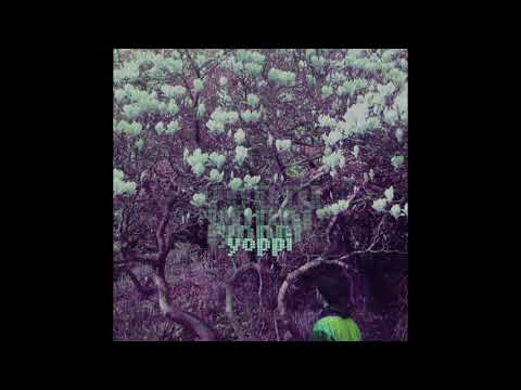 yoppi - time capsule [full album]