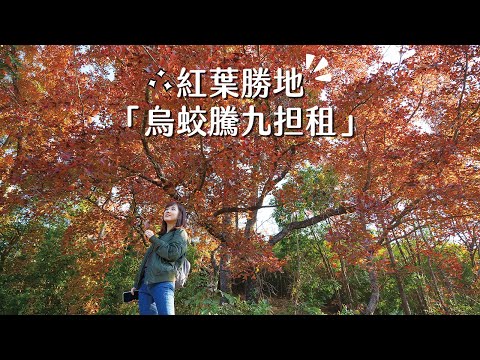 【貝遊香港】香港最紅紅葉勝地🍁烏蛟騰九担租！詳細路線情報*航拍