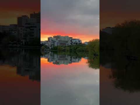 Painted Sky|Cluj-Napoca|Sunset #shorts #sunset #cluj #sky #romania #shortfeed #short #shortvideo