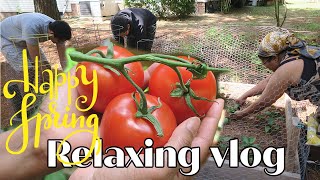 PLANTING PEPPERS, TOMATOES & FLOWERS + BAKING SALMON & PINEAPPLE ! #springvlog #relaxing #gardening