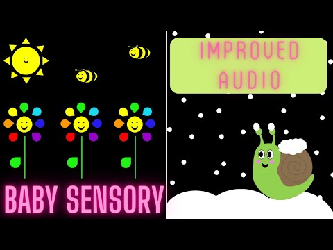 (IMPROVED AUDIO) Sensory Video | Seasons | High Contrast Colours, Classical Music & Fun Animation.