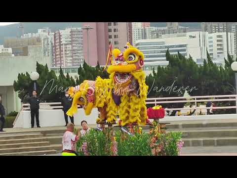 Dragon Dance 2025 ✘ Kung Hei Fat Choi