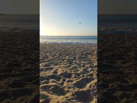 playa el quisco