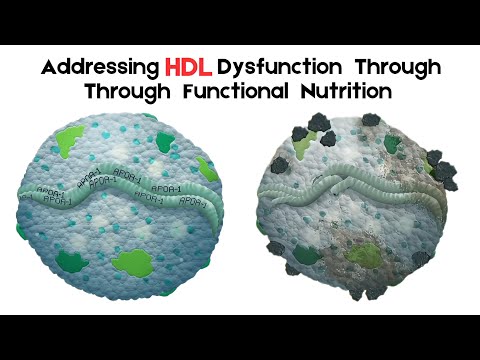 Addressing HDL Dysfunction Through Functional Nutrition