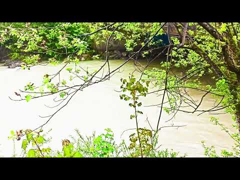 classical music for meditation and relaxation