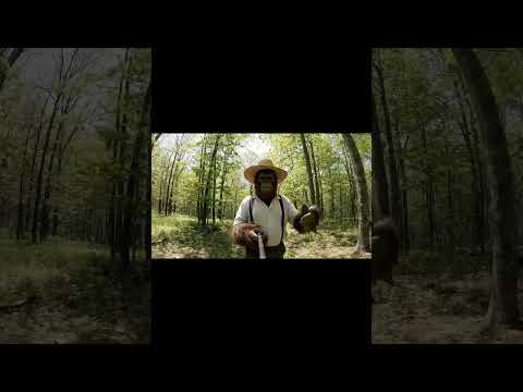 Don’t worry I’m wearing a mask. Wait till the end. #bigfoot #bigfootvlog #ai #amish #funny #gorilla