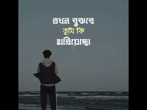 Shunno - Tanveer Evan || Band Lost Lyrics