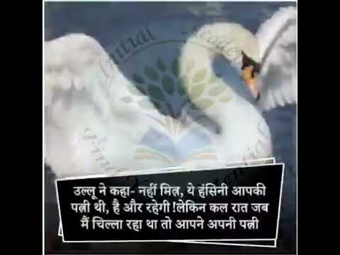 Hans aur hansini ki kahani