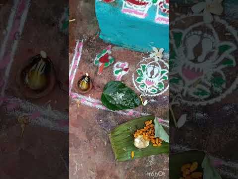 କାର୍ତ୍ତିକ ମାସ ଅଳା ନବମୀ 🪔🙏🏻 Kartika masa Navami🙏🏻#shorts #puja #odia #minivlog #shortvideo #shorts