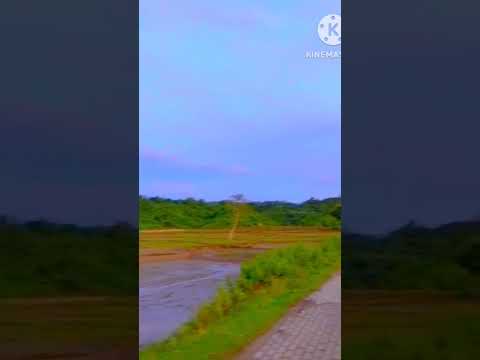 village view #viralshort #viralmusic #assam #nature #viral #villagelife #youtubeshorts