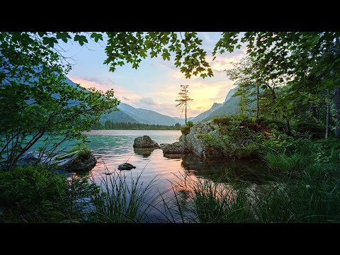 Water Lapping Sounds | Lake Ambience | Lake Sounds |