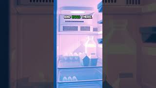 5 Surprising Secrets Hidden Inside Your Fridge Right Now