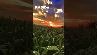 #nofarmersnofood @rohit_deshwalofficial @nishu_deshwal @farming life🌱🌾Pravesh Sharma Chanel like