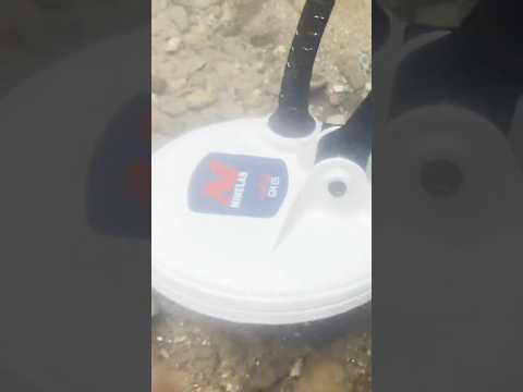 #Short - GoldMonster1000 & Minelab Pro-Find 35 in action at river beside Gold mine!