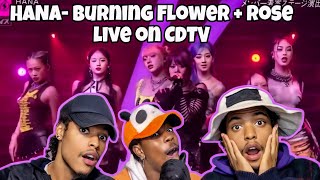 HANA - Burning Flower + Rose live Performance on CDTV  Reaction