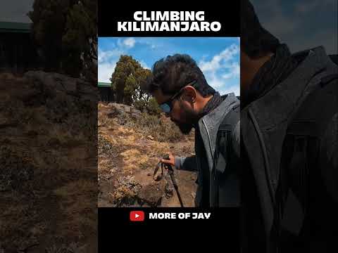 Climbing Kilimanjaro vlogs day2 #dailyvlogs #shorts #travel