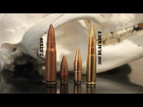 300 Blackout vs 7.62x39 Cartridge Comparison Showdown!