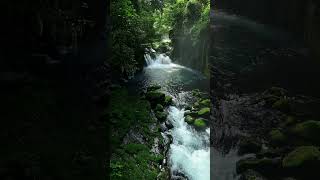 “This Waterfall Will Instantly Relax You 😍💧”“Mesmerizing Waterfall  #naturebeauty  #birdsong