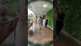 High Court#haryanvidjsong#newharyanvisongsharyanavi2025#newharyanvisong2025