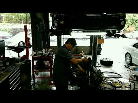 SL65 Assembly