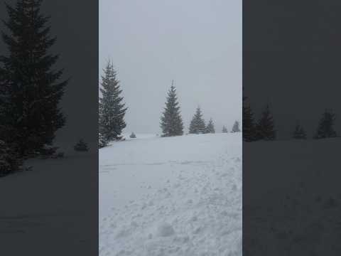 Marisel, Cluj #snow #winterseason #winter #winterwonderland #nature #snowfall