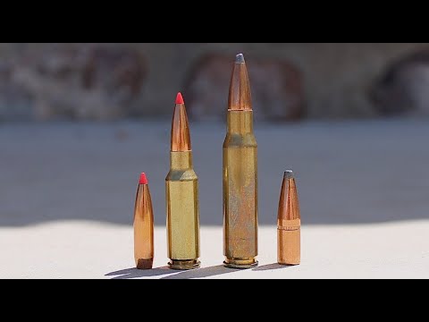 6.5 Grendel vs 308 Winchester: Everything You Need To Know