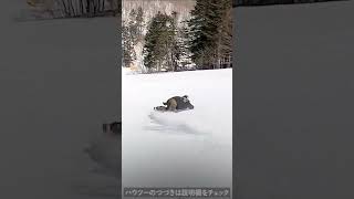 【何が起きたか分からなかった瞬間】雪面が不安定で落とし穴があったっぽい。綺麗に硬くしまったバーンでも、圧雪車のキャタピラの通ったところだけほぐ、、、ハウツーの続きは【・・・】を押して説明欄をチェック→