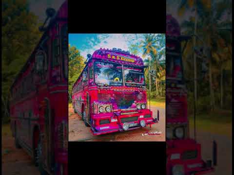 මම ගේන එක 😎😎 #automobile #bus #dj #srilanka #duet #buses #love #dhamrajini #driver #mayakari