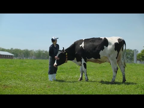 酪農学園大学　大学案内ムービー「動物たちの証言」