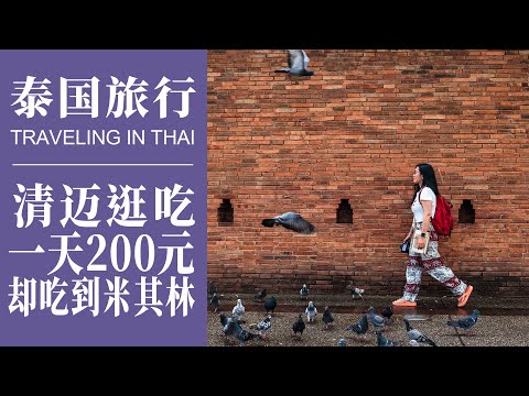 2023泰國旅行｜清邁逛吃，一天只花了200元，卻吃到米其林咖哩麵｜拉花世界冠軍咖啡店｜3泰銖一碗的米粉｜Travelling in Chiangmai｜Recommended Restaurants