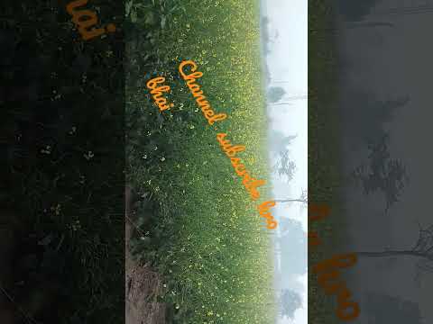 फूलावा सुखाल बा पतझड़ में बगिया उजड़ गई # खेसारी लाल यादव