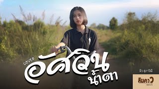 อัศวินน้ำตา - มิว สุภาวิณี「COVER VERSION」Original : น้ำแข็ง ทิพวรรณ