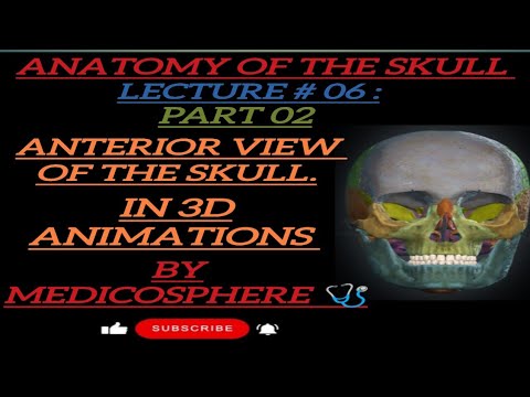 LECTURE # 06:PART 02: ANTERIOR VIEW OF THE SKULL BY MEDICOSPHERE 🩺.#3d #human skull#anatomy#MEDICAL.