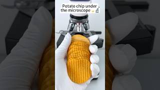 Potato chips under the microscope #science #microscope
