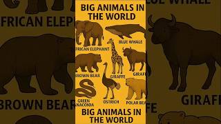 The ENORMOUS Animals That Exist Today