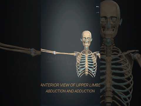 Abduction and Adduction of shoulder joint#viral shorts #medical#medicosphere#3d animations#anatomy.