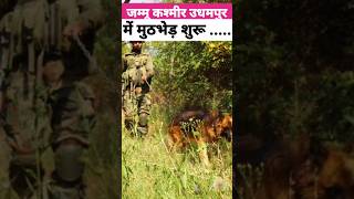 Jammu & Kashmir: Udhampur encounter begins #indianarmy #youtubeshorts #specialforces  #udhampur