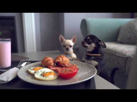 Hotel ReOpening Video After Lockdown