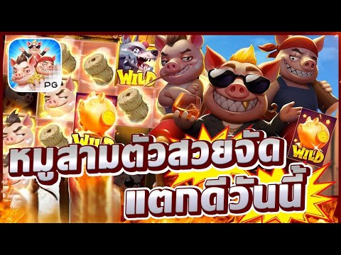 สล็อตเว็บตรง Three Crazy Piggies PG l สล็อตลูกหมูสามตัว หมูสามตัวสวยจัด แตกดีวันนี้ +19,000