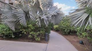 Um Al Emarat Park, Abu Dhabi- Part 1 || The Best Place for Plantito y Plantita Fanatics.