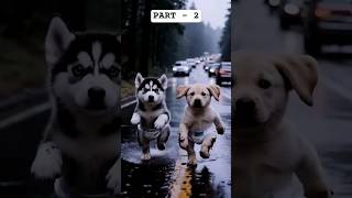 #trendingshorts #new #akaction96 Dogs rescue cats #cat #dog #cutepet#petdebut #littleredbook